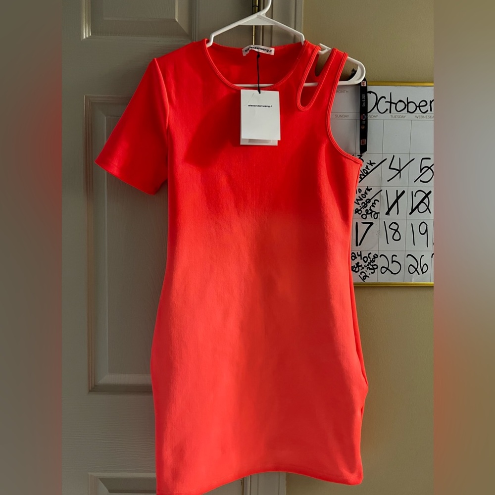 Alexander Wang dress